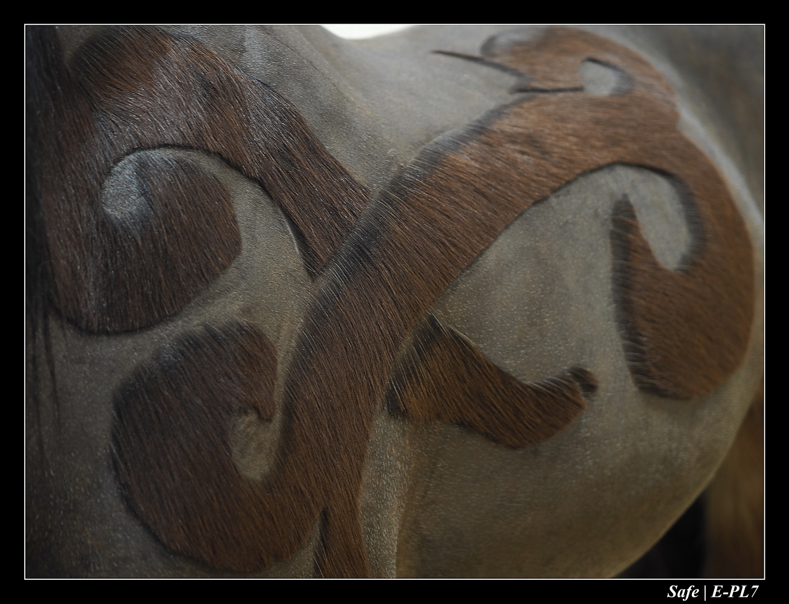 2020 - 02 - Salon agriculture 08